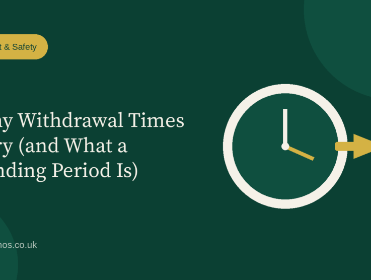 Why Withdrawal Times Vary (and What a Pending Period Is)